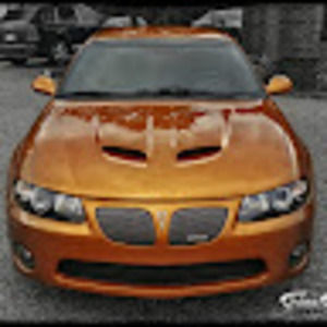 Meet your Posher, Champ